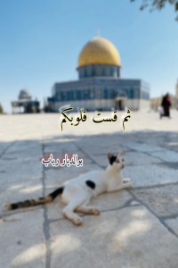 ثم قست قلوبكم