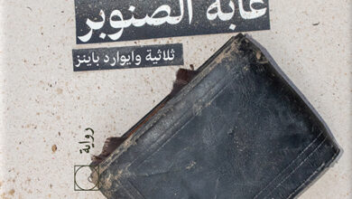 غابة الصنوبر