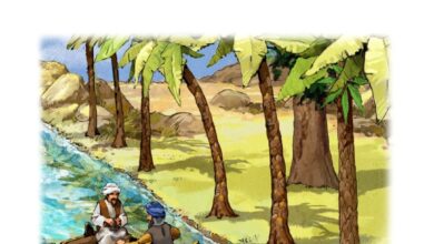 حكايات من التاريخ حكايات من التاريخ