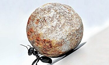 القوة الهادئة