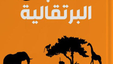 الغابة البرتقالية الغابة البرتقالية