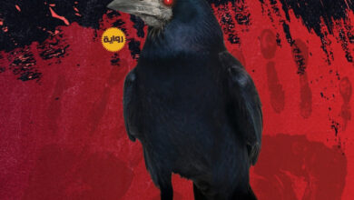 شبح الرسالة شبح الرسالة